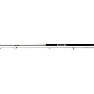 Spinning-Rute Black Cat Solid 40-160g
